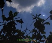 telenord00003