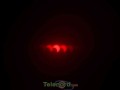 telenord00004