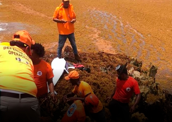 Sargazo y polvo del Sahara dificultan búsqueda de desaparecidos en naufragio en Juanillo