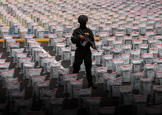 La DNCD ha incautado más de 31 toneladas de drogas en lo que va de 2025