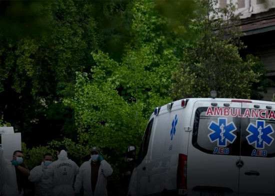 Incendios forestales en Chile: 80% de superficie quemada corresponde a pino y eucalipto