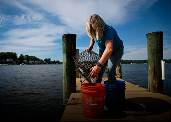 Hong Kong registra un brote de intoxicación y asume que se debe a una empresa española de ostras