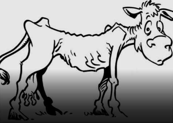 Editorial de NTN: "Otro apagón nacional"