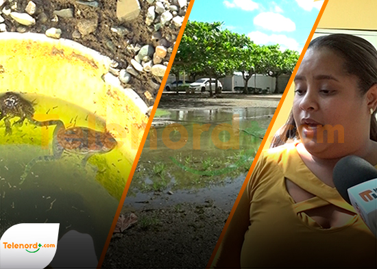 Padres denuncian situación crítica en escuela Salomé Ureña en Génimo