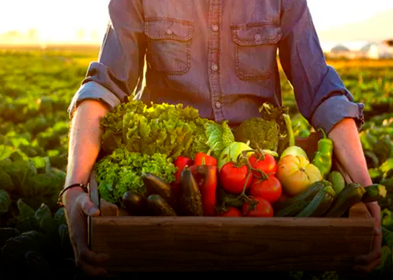 Latinoamérica liderará la producción mundial de alimentos, según prevé la Segib
