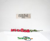 Telenord069 Telenord069