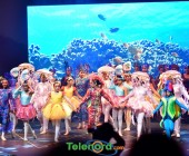 telenord223 telenord223