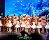 telenord228 telenord228