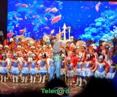 telenord273 telenord273
