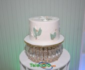 telenord011 telenord011