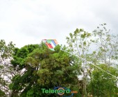 telenord091 telenord091