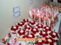 imagen00021