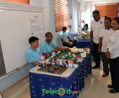 telenord048 telenord048