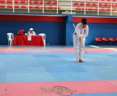 telenord00041 telenord00041