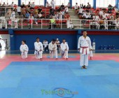 telenord00202 telenord00202