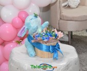 telenord027 telenord027