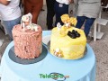 telenord037