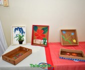 telenord059
