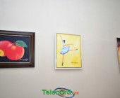 telenord060